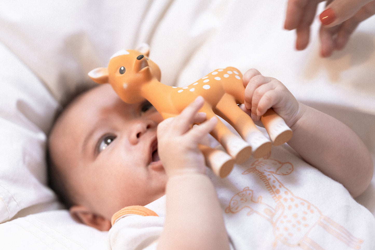 Sophie la girafe – Fanfan the fawn