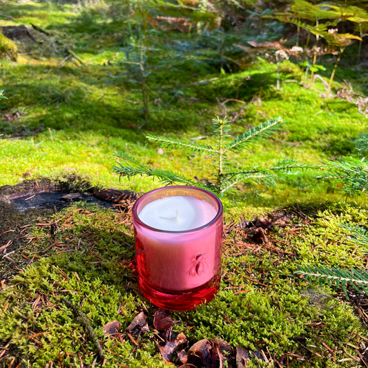 La Rochère Cherry Blossom bee candle placed outdoors in a green grassy meadow next to a small young tree