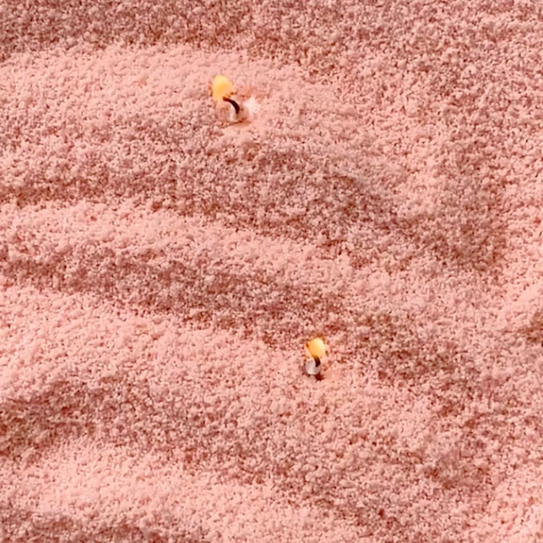 Close-up of vibrant Peach vegetable wax pearls texture 330g