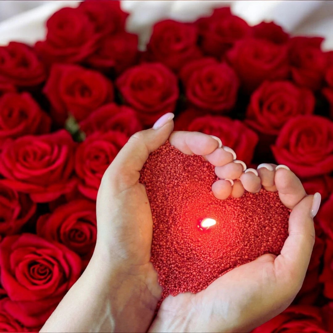 Red pearled candle wax granules held in cupped hands over a red roses