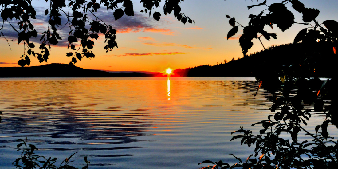 A serene view of the Finnish midnight sun glowing over a calm lake, framed by silhouetted tree branches during yötön yö.
