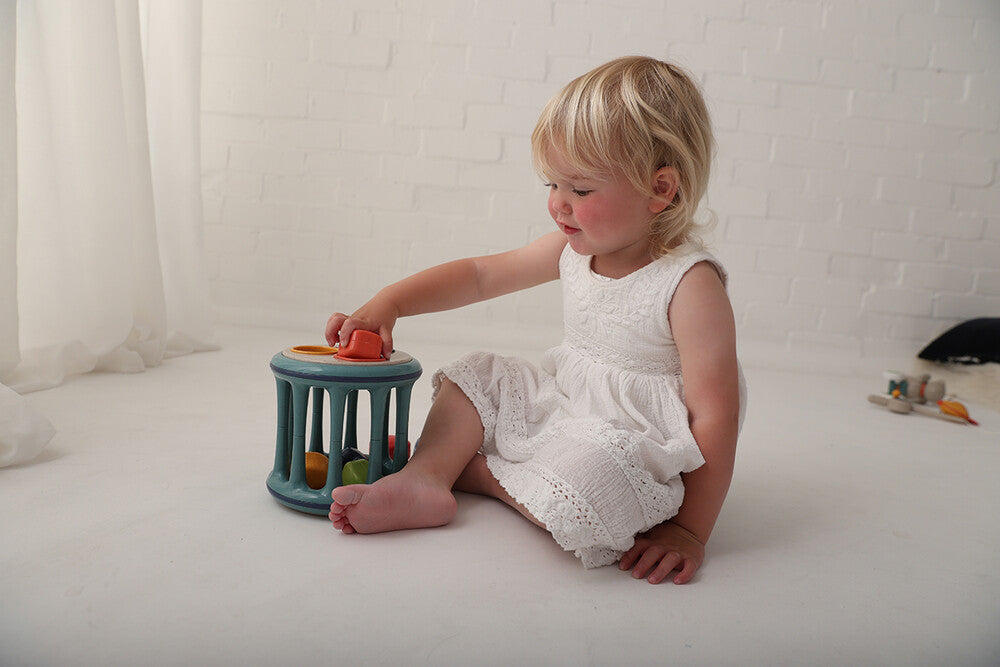 Tolo Bio Rolling Shape Sorter