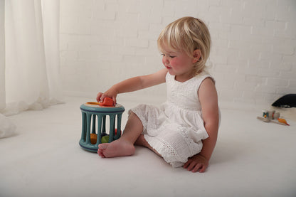 Tolo Bio Rolling Shape Sorter