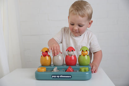 Tolo Bio Pop Up Dinosaur
