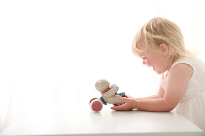 Tolo Bio Push and Go Teddy