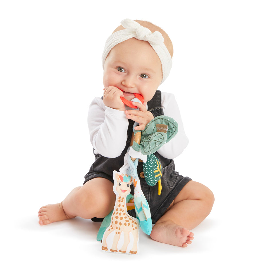 Sophie la girafe activities ring