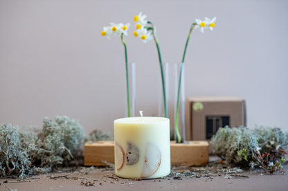 Vanilla candle lit in a cozy reading nook for a sweet home aroma