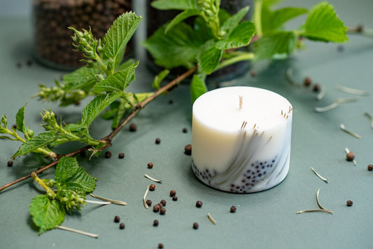 Juniper scented handmade soy wax candle in glass container by TL Candles