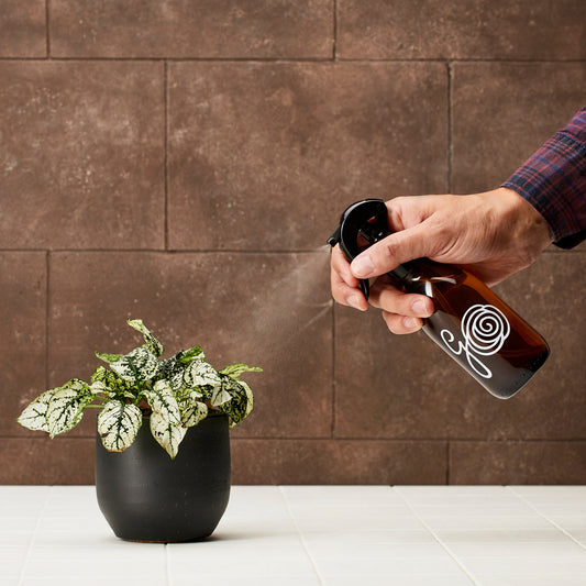 Handheld plant mister for delicate leaf misting and humidity boost