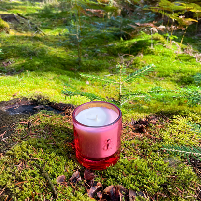 La Rochère Cherry Blossom bee candle placed outdoors in a green grassy meadow next to a small young tree