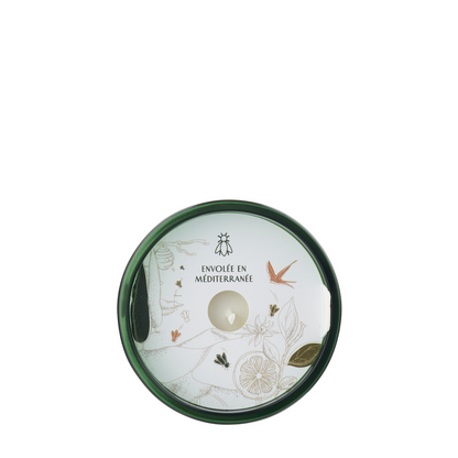 Top-down view of the La Rochère Cedar glass candle showing the poured soy wax and wick