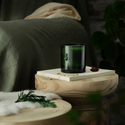 Cozy living room interior featuring the La Rochère Cedar bee candle decorating a side table next to a comfortable sofa