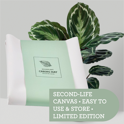Generosa gardening accessory for neat and organized indoor plant care