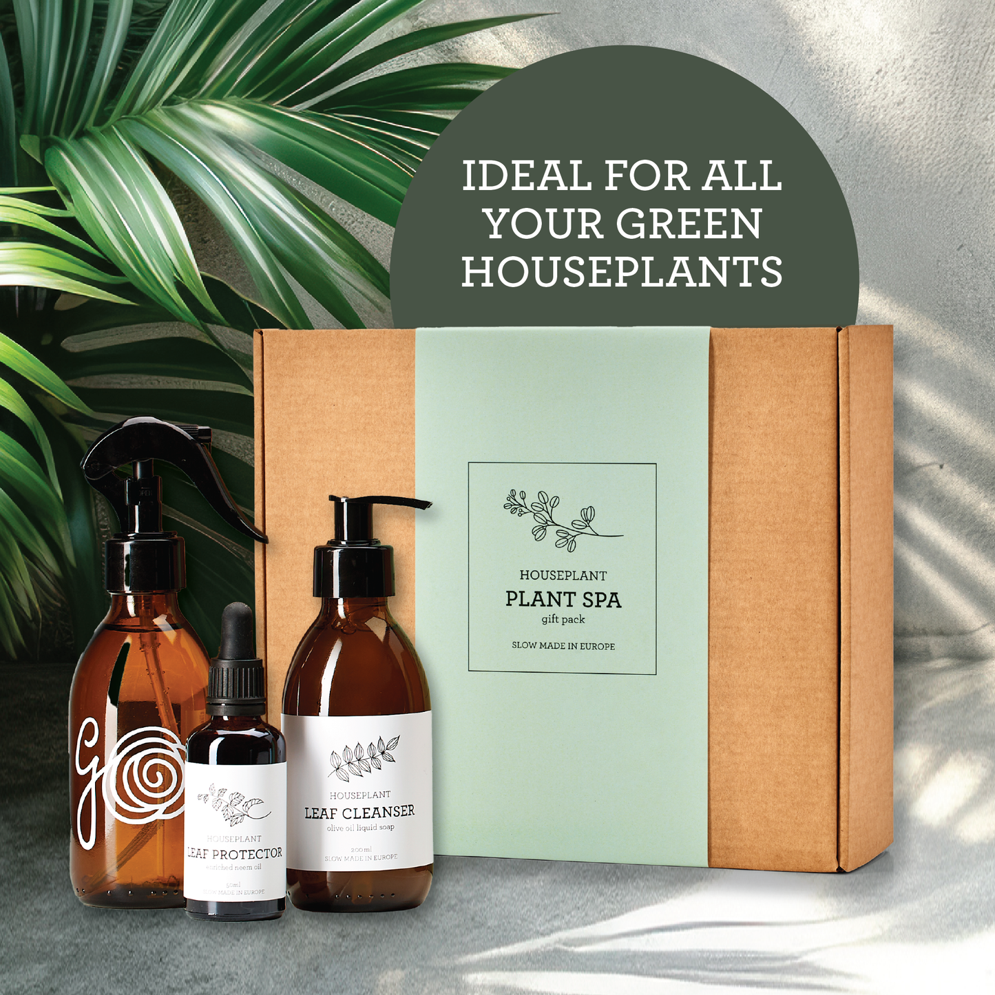 Essential houseplant care bundle in eco-friendly packaging