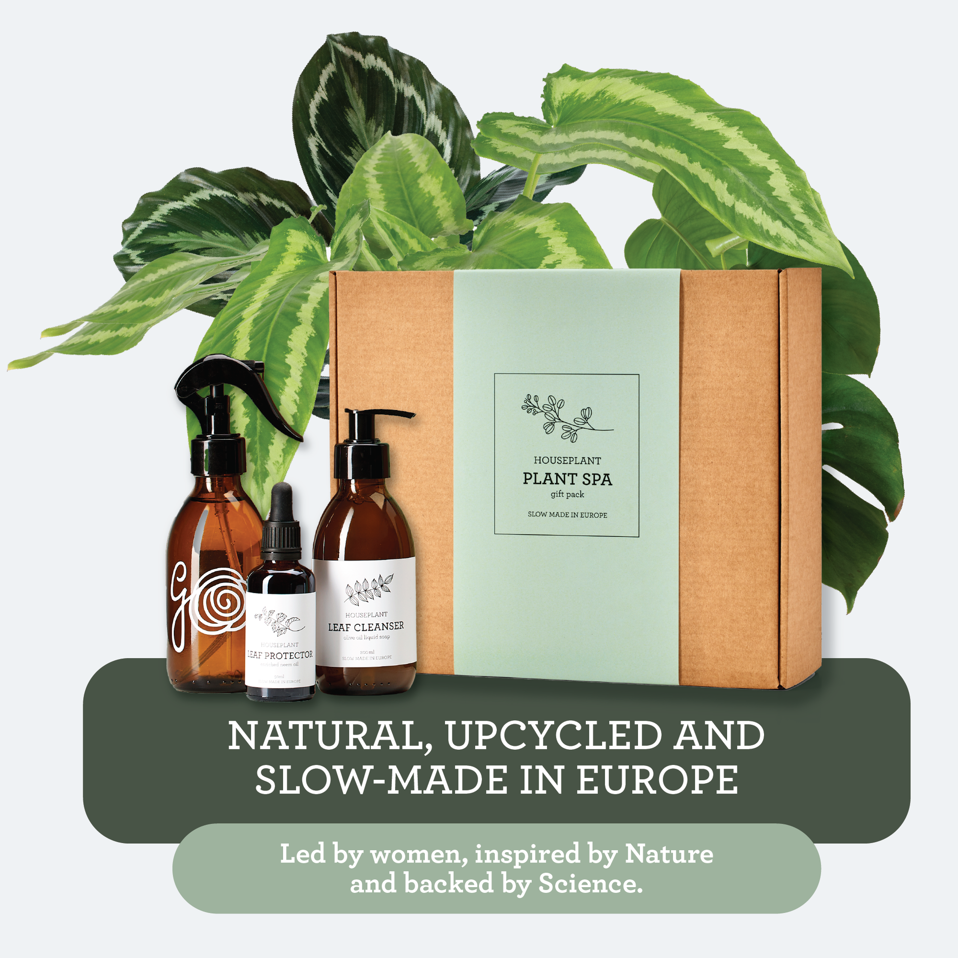 All-in-one organic plant care set including leaf shine and nutrients