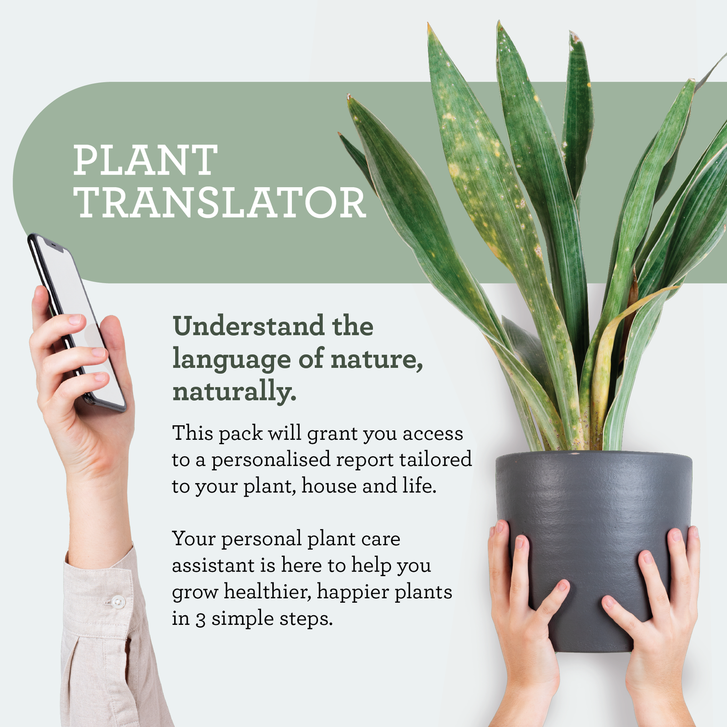 Complete beginner kit for new plant parents by Generosa