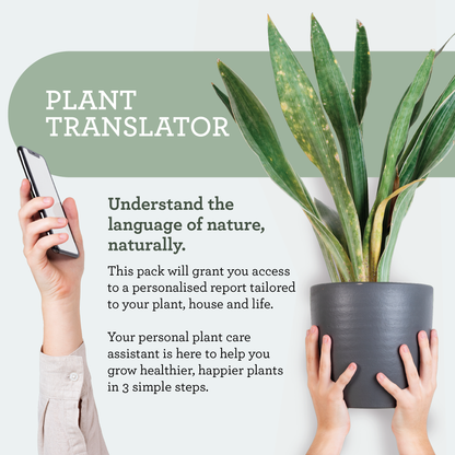 Complete beginner kit for new plant parents by Generosa