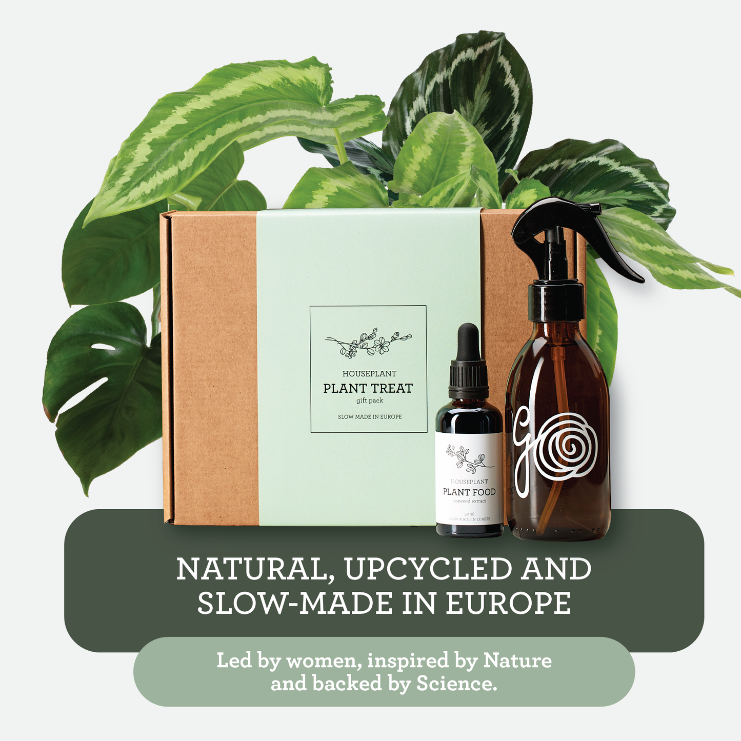 Generosa Plant Treat Gift Set – Plant Nourishment | Natural Liquid Fertiliser 50ml and Glass Spray Bottle | Nutrients for Houseplants | Gift for Plant Lovers, Gift Ideas, Eco-friendly Gift-3
