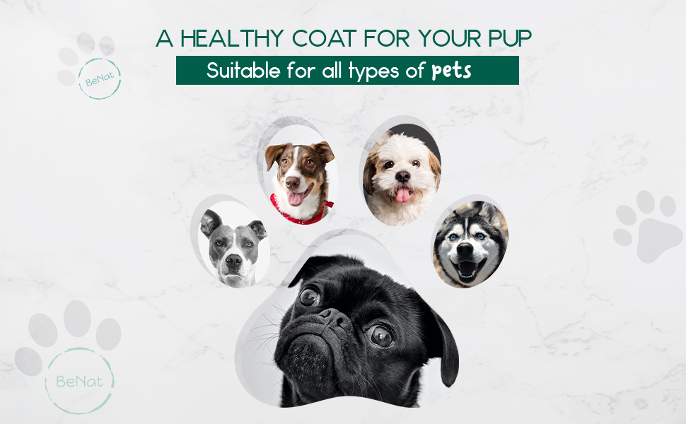 Suitable view Handcrafted soothing oat and lavender pet shampoo bar for sensitive pet coat