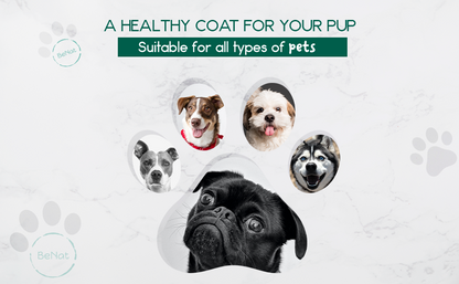 Suitable view Handcrafted soothing oat and lavender pet shampoo bar for sensitive pet coat