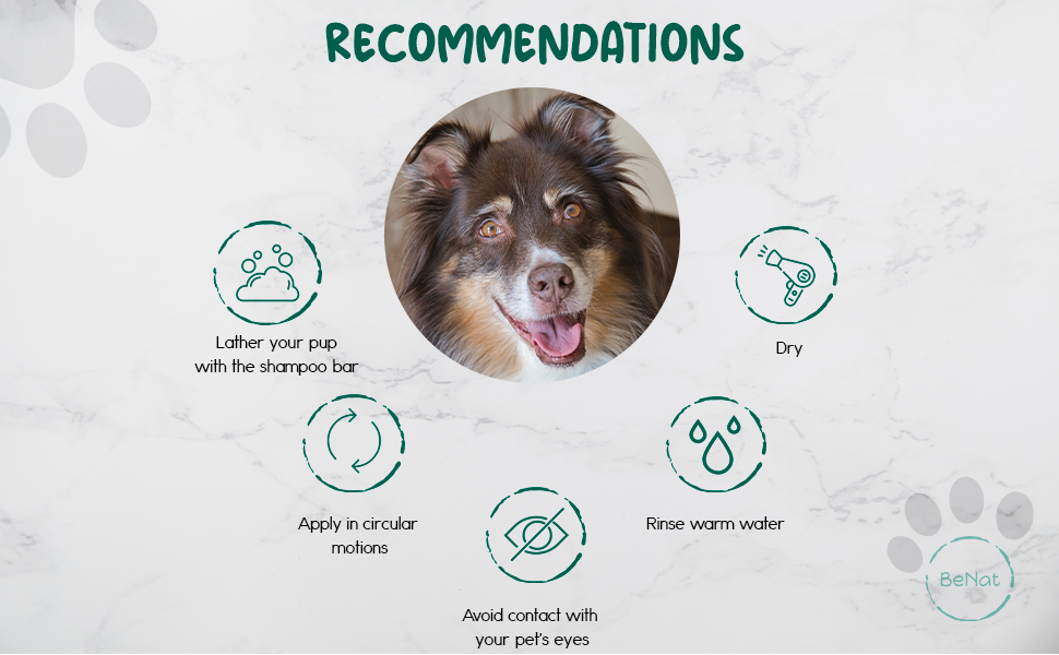 Recommendations of BeNat Pets All-Natural Oat Pet Shampoo Bar 5.8 oz product box for dogs and cat