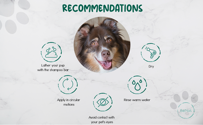 Recommendations of BeNat Pets All-Natural Oat Pet Shampoo Bar 5.8 oz product box for dogs and cat