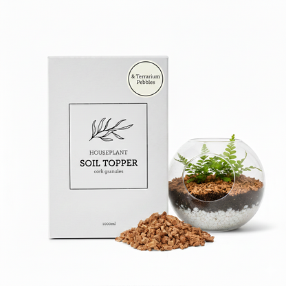 Generosa decorative soil topper and drainage pebbles for indoor plants - Sustainable natural stones for terrariums