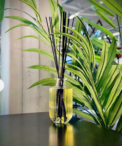 Sustainable home fragrance with long lasting luxury scent - Breeze