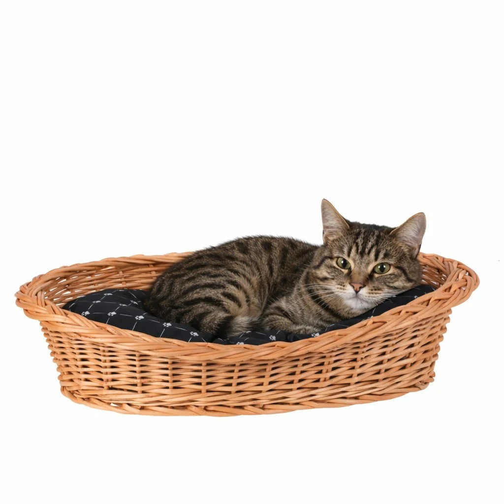 Enovia Natural Wicker Dog Bed With Black Cushion, 65x46 cm