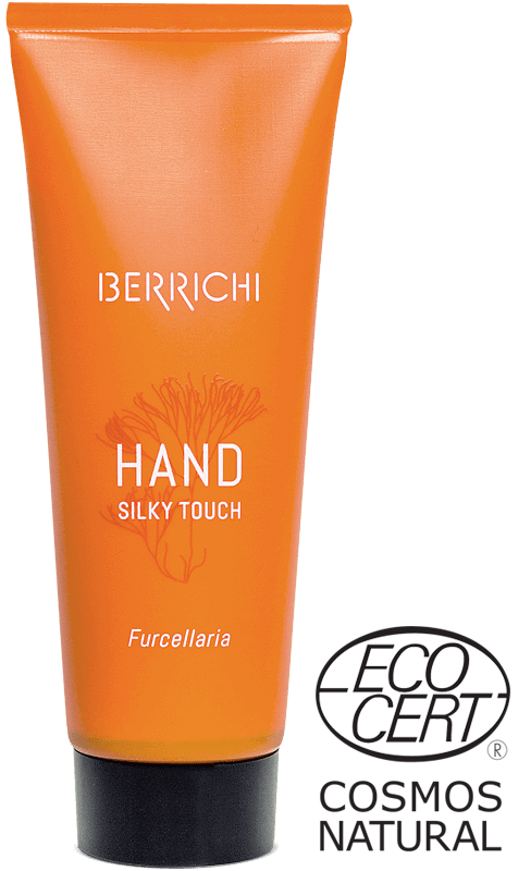 Front View of Berrichi Silky Hand Cream HAND 75ml in sustainable tube