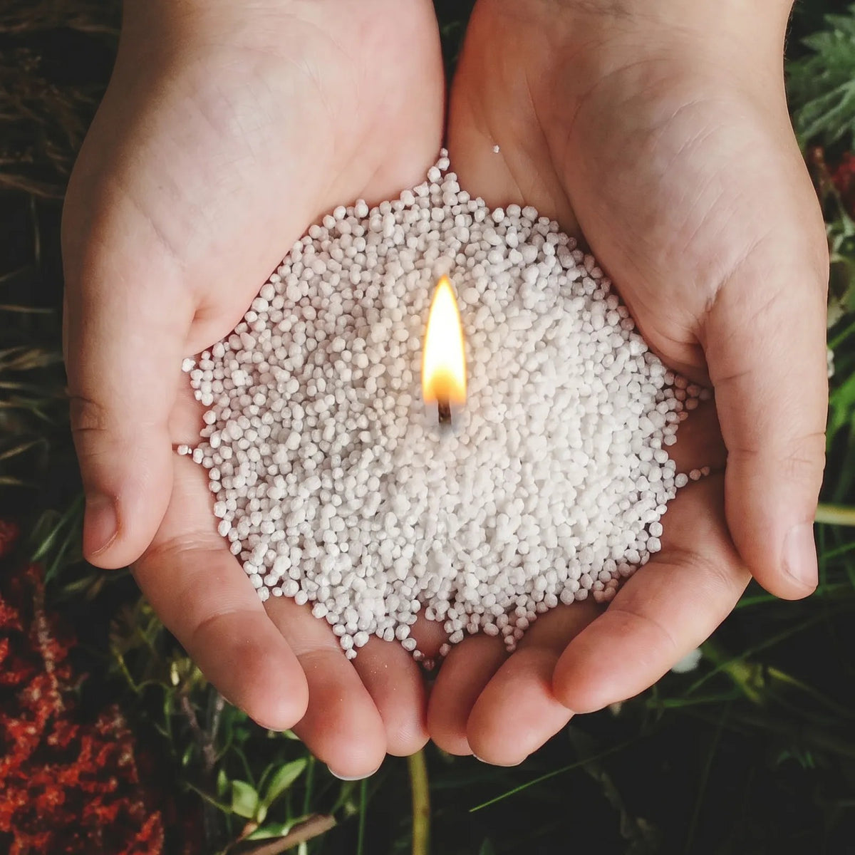Lit Nordic Lights scented pearled candle wax granules held in cupped hands over a garden planter vase